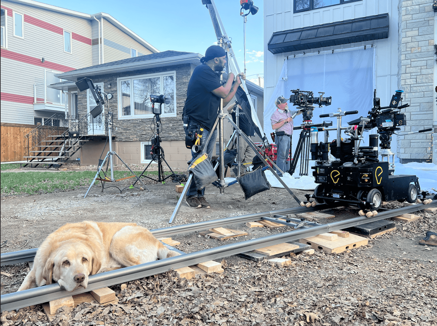 Dave the bestest boy laying across the dolly track