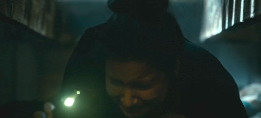 A young woman, Elyse (Darla Contois), finds herself trapped beneath the floor boards of her home.