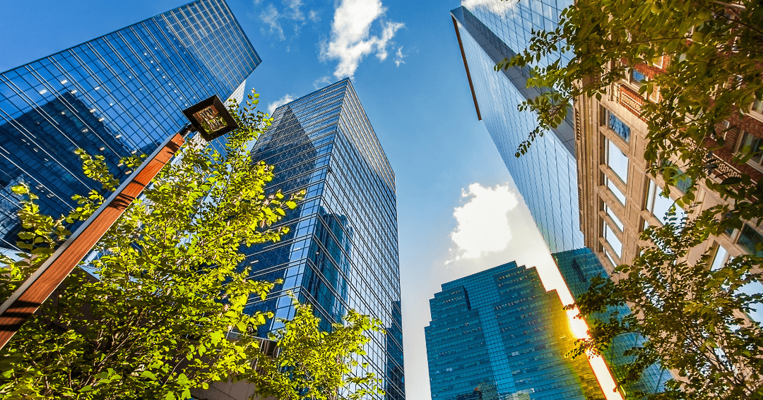 Downtown Edmonton skyline with modern glass office towers and trees viewed from street level on a sunny day.